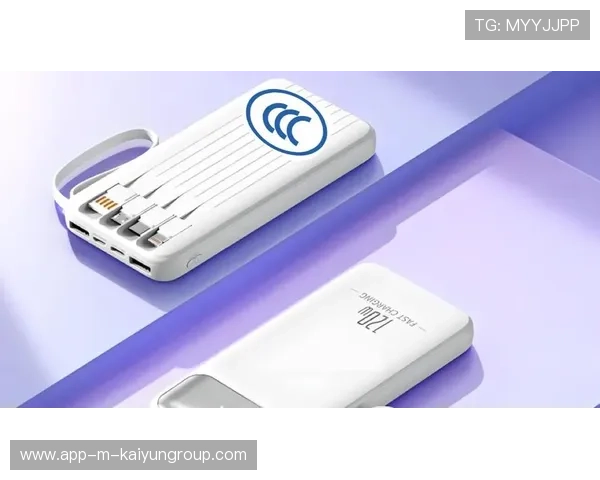 召回事件频发，便携电源行业面临信任危机？，便携式电源的英文